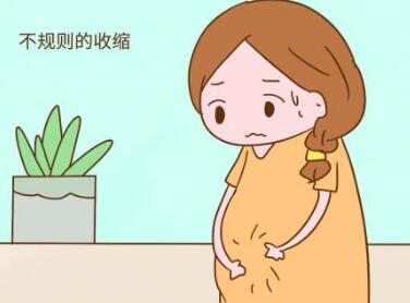 孕晚期.jpg